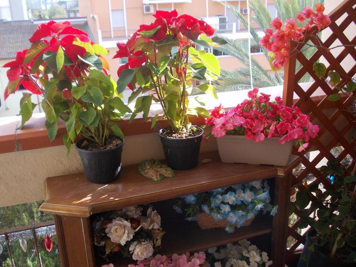 Domus Aurea Bed & Breakfast Oristano Bagian luar foto